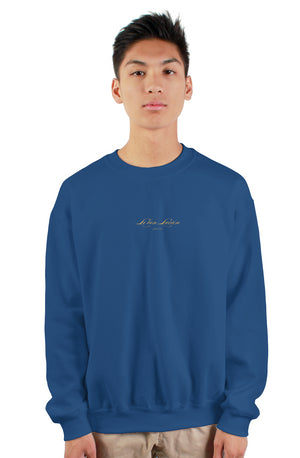 gildan heavy crewneck sweatshirt